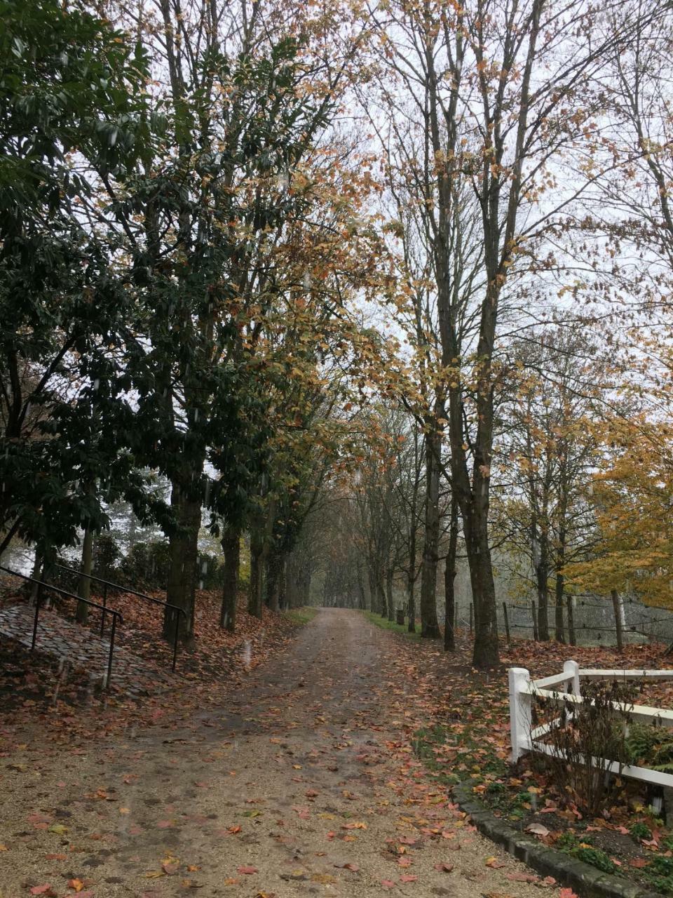 Moulin De Moulignon B&B 梅西 外观 照片